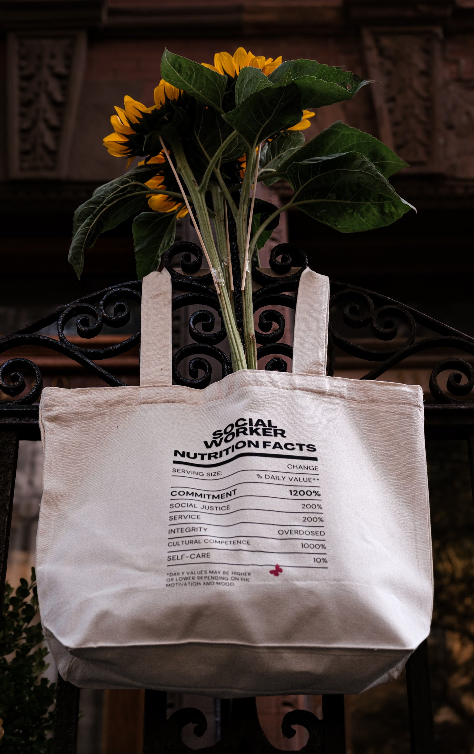 The Bae Facts Tote